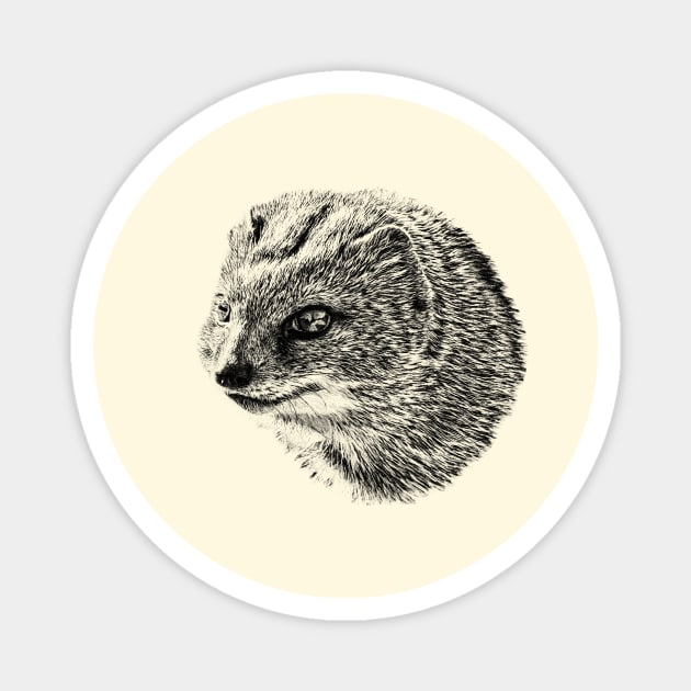 Yellow mongoose Magnet by Guardi